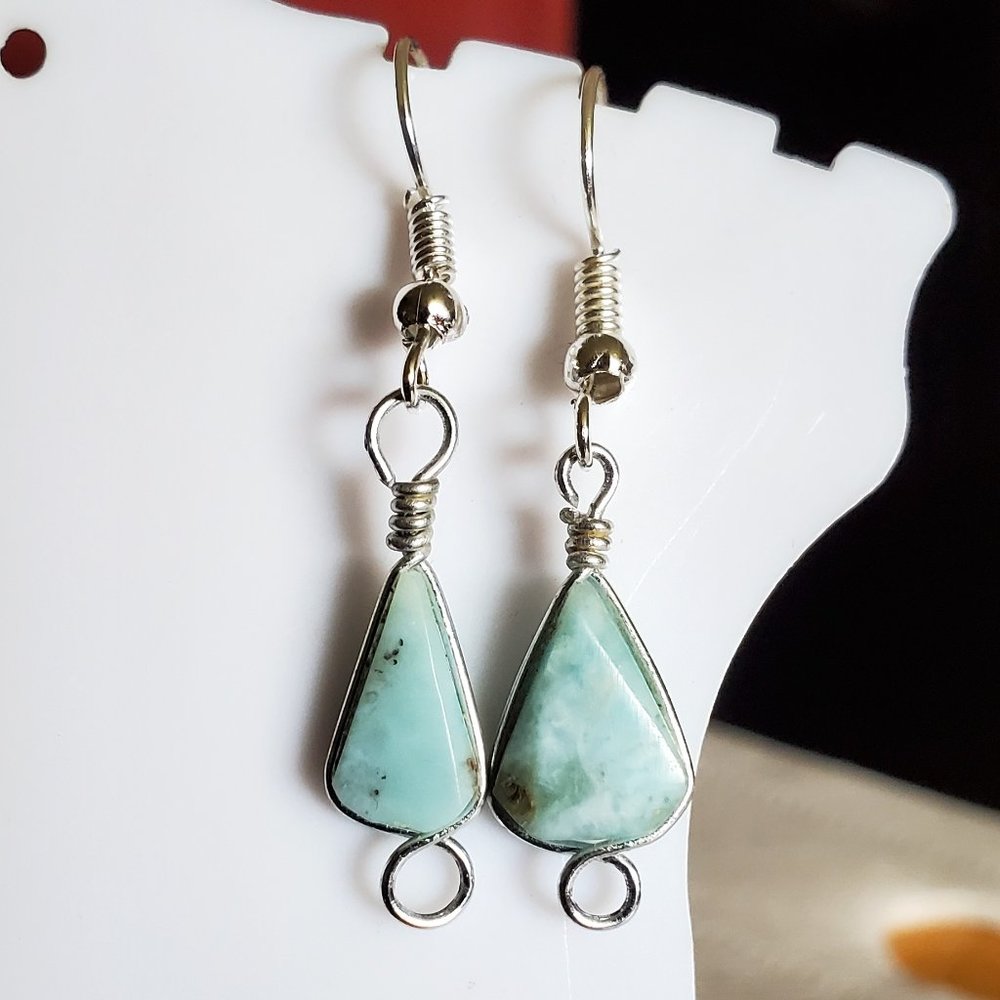 Silver Tone Hook Aragonite Teardrop Dangle Earring